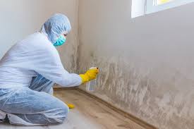 Best Mold Odor Removal Services  in Glenwood Springs, CO